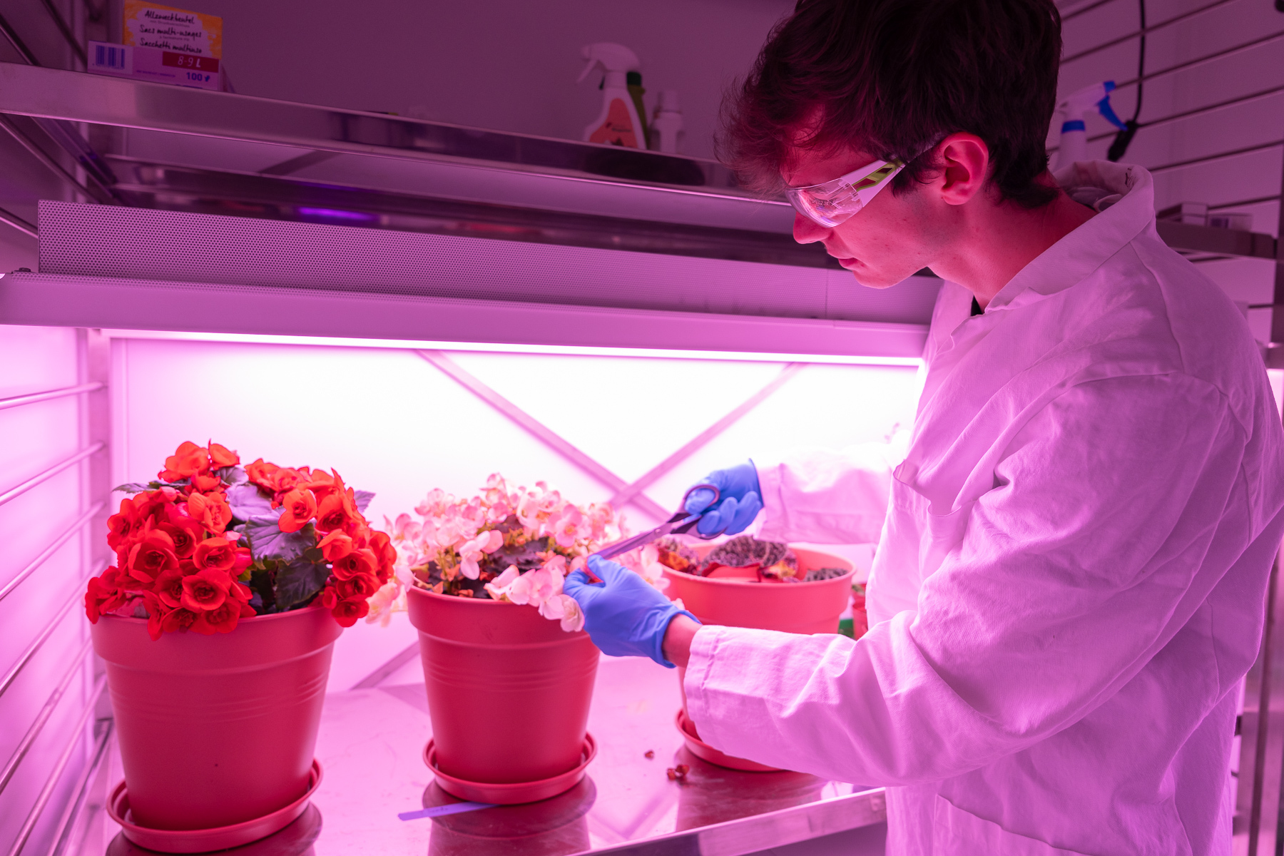 Oliver Nagel working on his Bioluminescent Plants Project